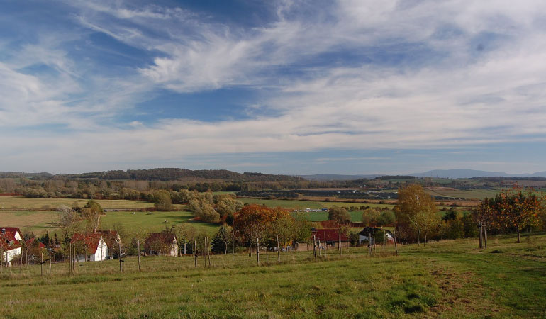 Wo genau muss der Baum gepflanzt werden?